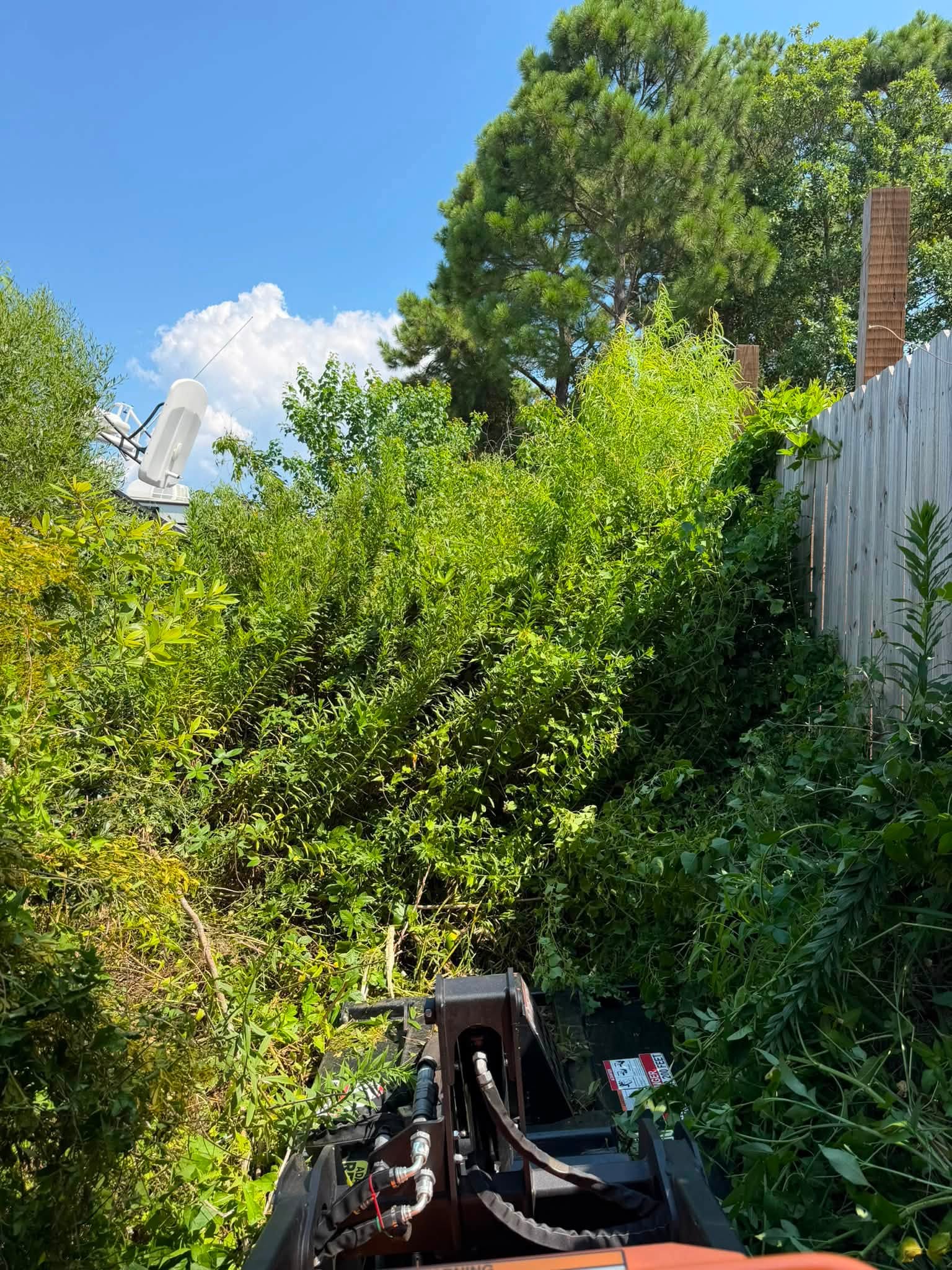 Yard Cleanup