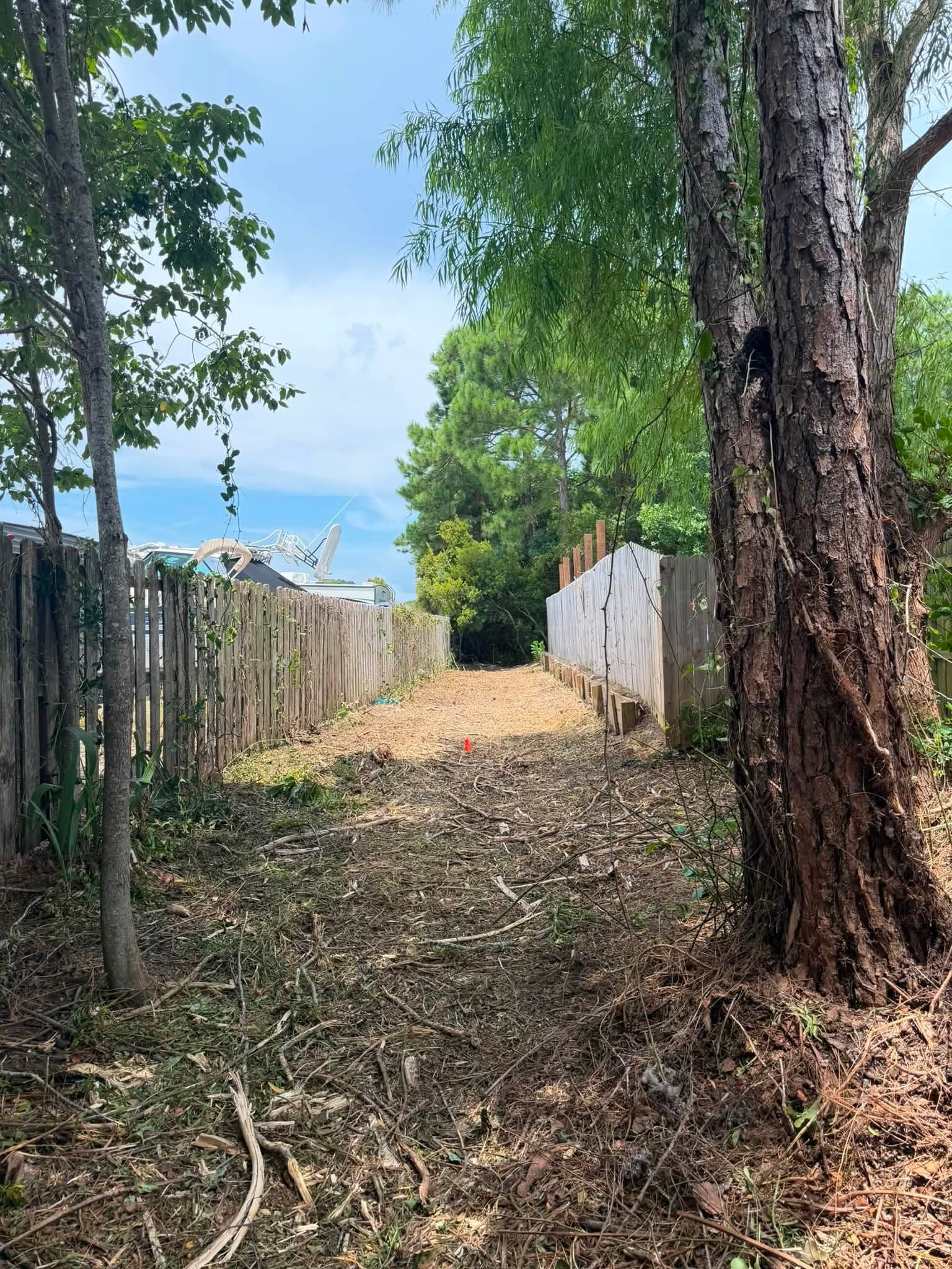 Yard Cleanup